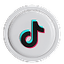 TikTok SMM Panel