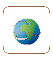 Country-Specific Services